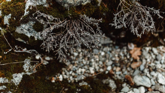 Meet the Mysteries Surrounding Liu Yifei's Husband: The Enigmatic Man Behind the Screen