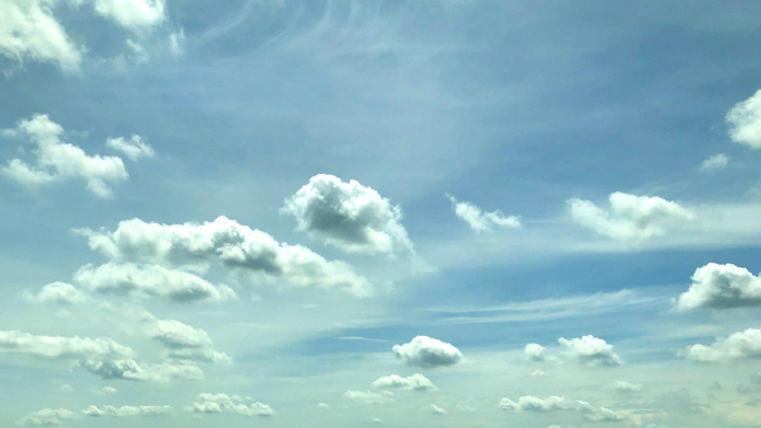 The Shocking Transformation: Donal Logue's Incredible Weight Loss - Oli